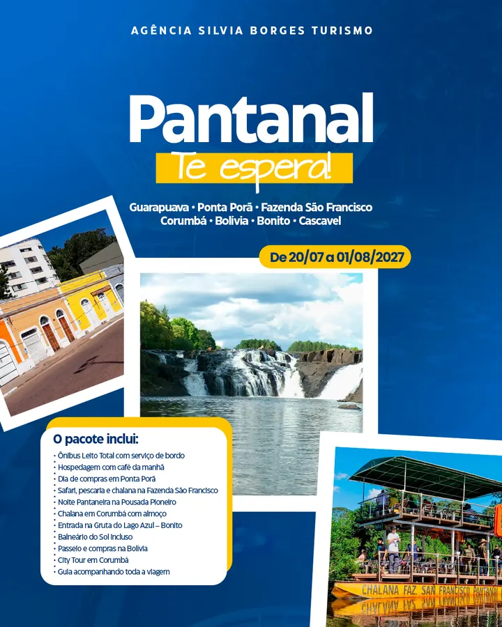 Arte para agência de turismo: Pantanal te espera